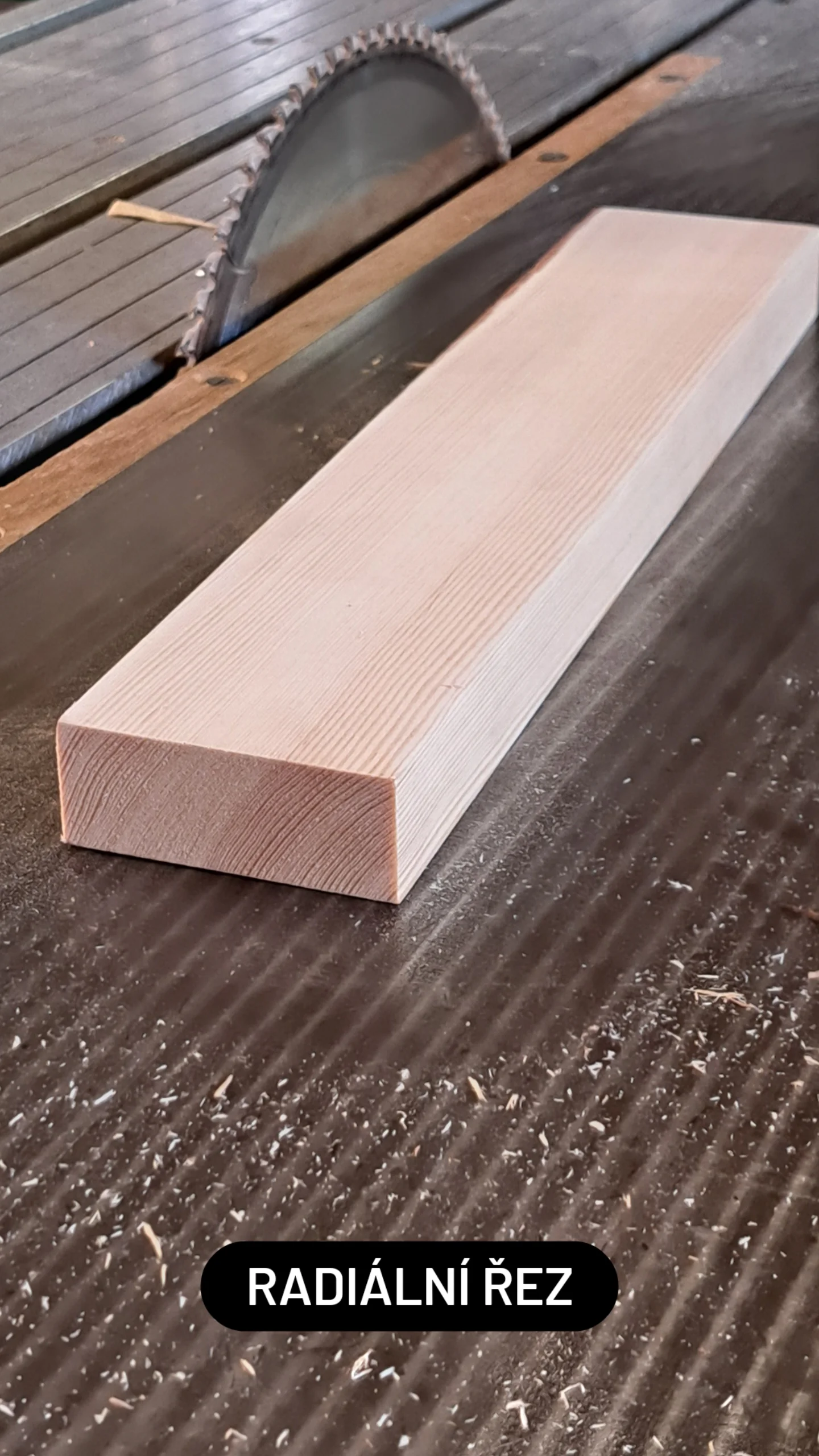 Radiální řez dřeva: proč je stabilní a kde se nejvíc hodí