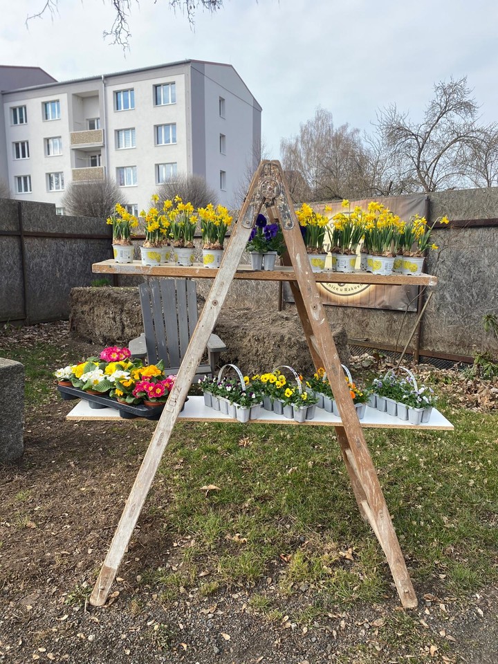 zahradnictvi-louza-jesenice-1