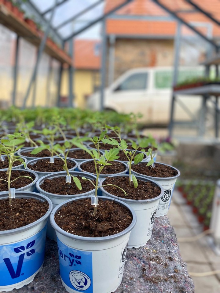 zahradnictvi-louza-jesenice-3