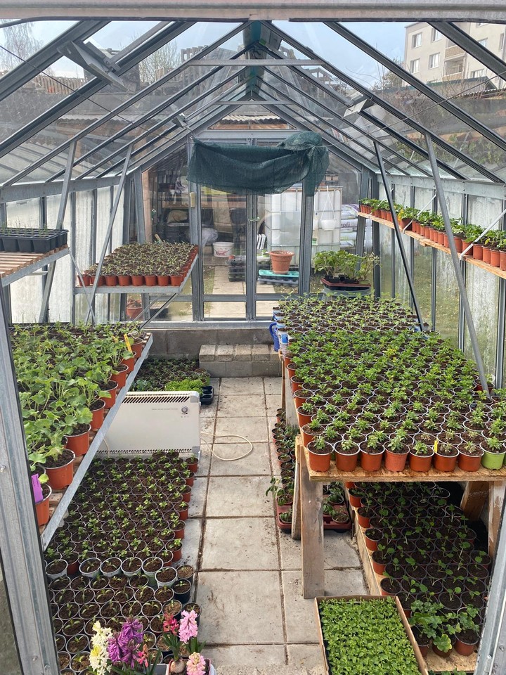 zahradnictvi-louza-jesenice-6